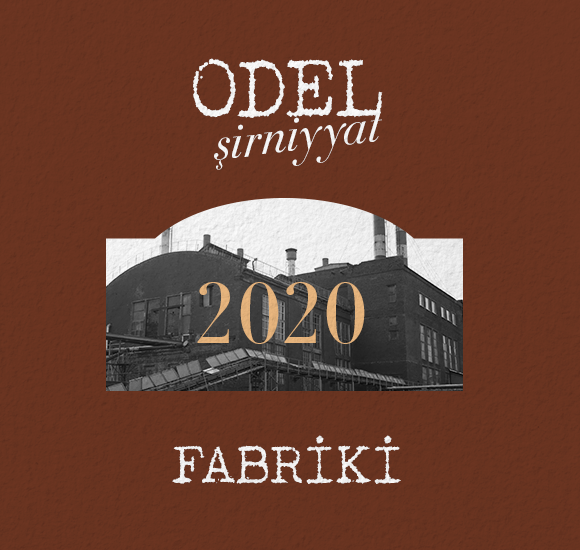 şəkil